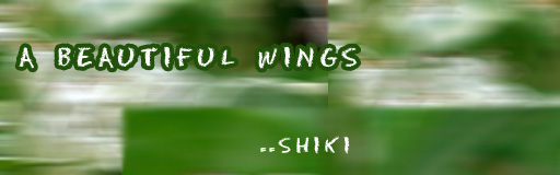 Download A Beautiful Wings simfile for Stepmania Download A Beautiful Wings simfile for Stepmania